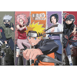 Les 5 ninjas Naruto Shippudden