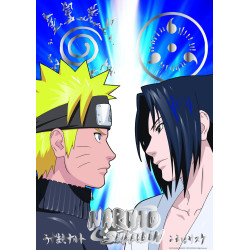 Rivalité Naruto Sasuke